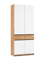 Шкаф Бостон ШК-001