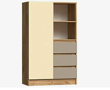 Шкаф Челси Color комбинированный
