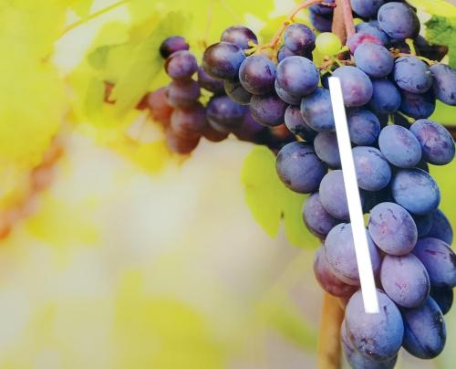 Стол обеденный Ника с ящиком